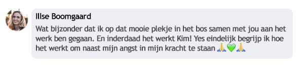 Reviews Reviews